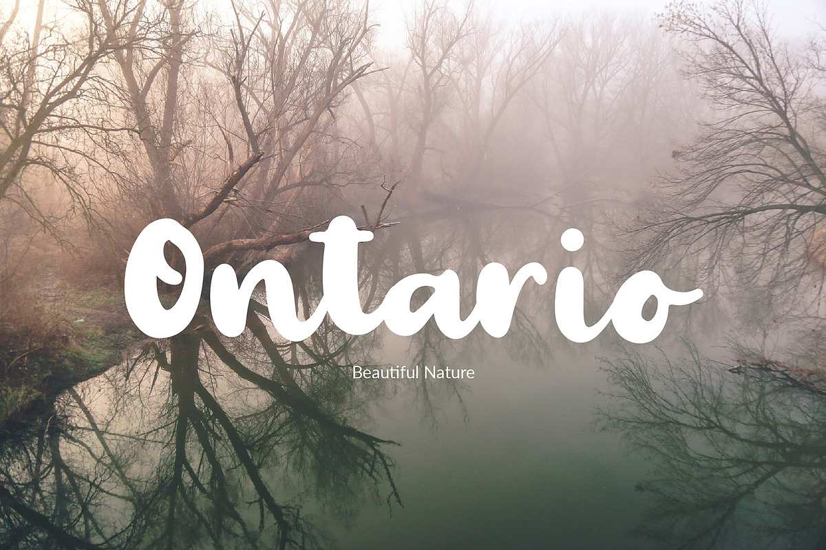 Palmera Brush Font preview 5