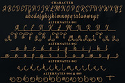 Fasterox Script, a Script Font by Amarlettering (Thumbnail 7 of 8)