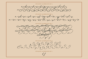 Mindplots A Calligraphy Font