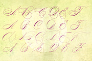 Mercy, a Script Font by Misprinted Type (Thumbnail 4 of 8)