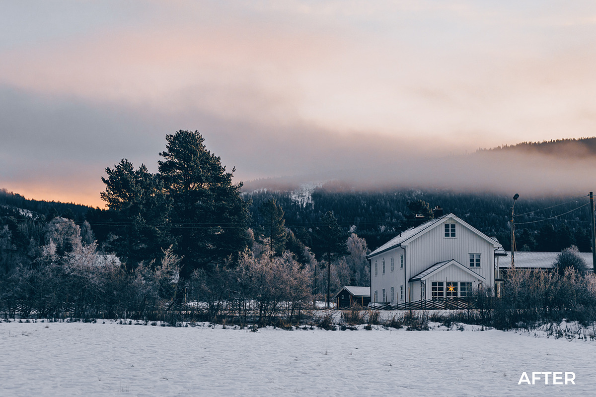 Festive Winter Preset Bundle, an Action Add-On by in between details (Photo 9 of 17)