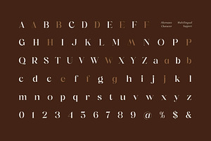 Movek Noiya - Modern Display Font