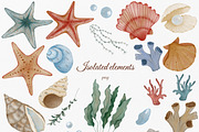 Nautical Watercolor Sea Clipart, an Animal Illustration by ZabolotnaArt (Thumbnail 4 of 13)