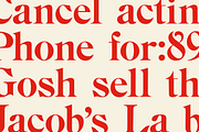BN Chester - A Unique Serif Font, a Handwritten Font by Bnick (Thumbnail 4 of 10)