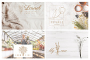 Vol. 2 Botanical hand - drawn logos, a Branding & Logo Template by Crocus Paperi (Thumbnail 4 of 6)