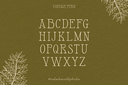 VINTAGE FERN by Natasha Reddy, a Serif Font by Natasha Reddy Studio (Thumbnail 2 of 10)