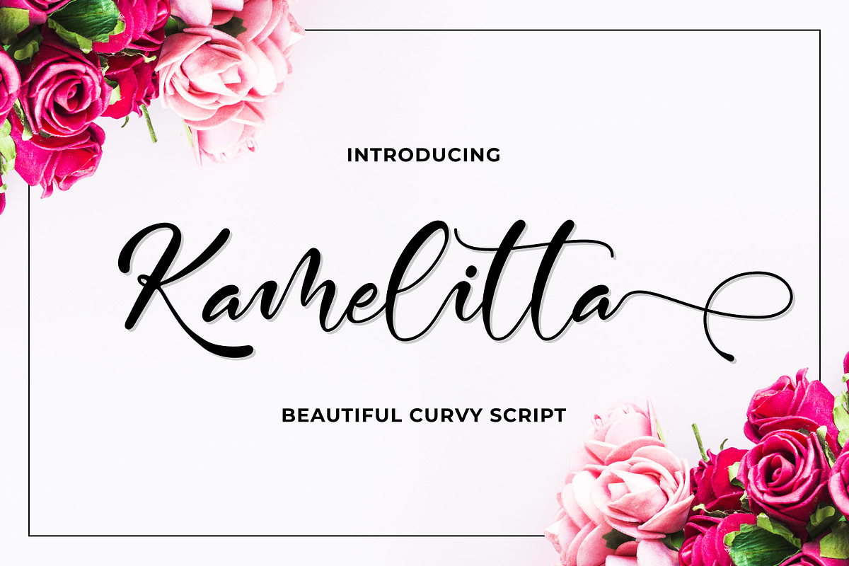 Kamelitta  - Beautiful Curvy Script, a Script Font by Almarkhatype (Photo 1 of 10)