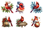 Watercolor Red Cardinal Clipart PNG, an Icon by SinaCreation (Thumbnail 3 of 7)