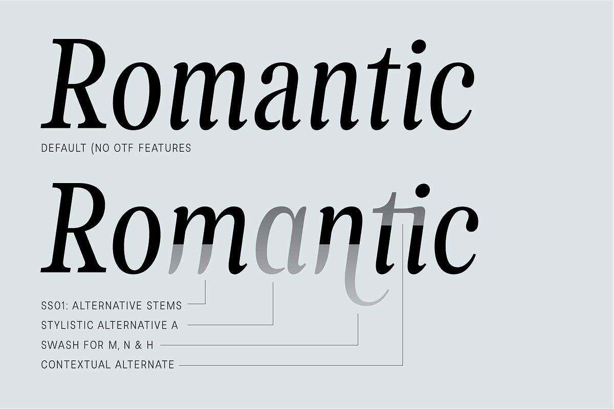 Levino Font Family, a Font by Punch (Photo 5 of 10)