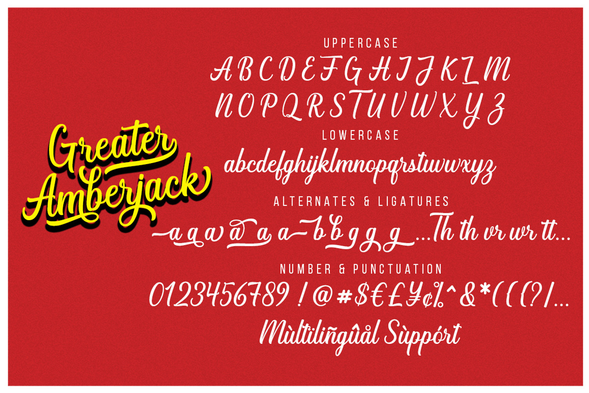 Greater Amberjack, a Script Font by Megatype (Photo 9 of 10)