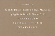 Vattea Villany Modern Serif Typeface, a Serif Font by Dylla_studio (Thumbnail 9 of 10)