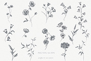 Line Art Flowers vector collection, a Decorative Illustration by Sensual Art (Thumbnail 2 of 10)
