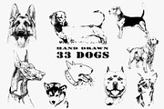 33 DOGS hand drawn illustrations, an Animal Illustration by AnastasiyaOleynik (Thumbnail 1 of 7)