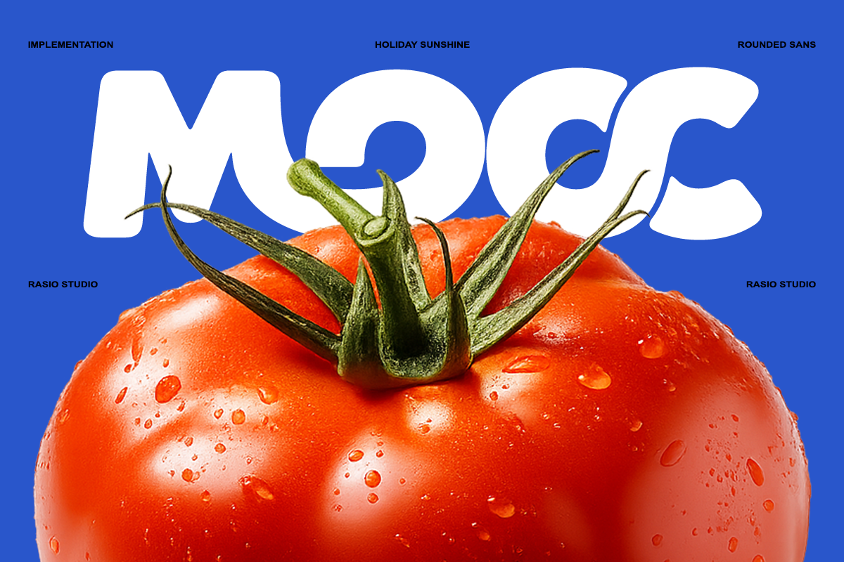 Holiday Sunshine Bold Sans Font, a Sans Serif Font by Rasio Studio (Photo 5 of 8)