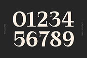 Rollions - Display Serif Font, a Serif Font by Zarma Type (Thumbnail 4 of 12)