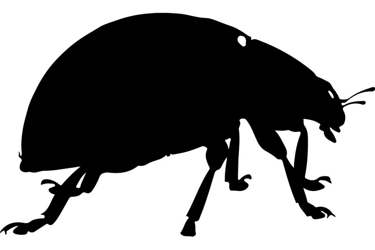 Ladybug Silhouette, an Object Graphic by Designer_Momina (Photo 13 of 20)