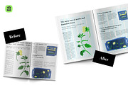 Letter Publication System · Affinity, a Magazine Template by Sasha Lantukh (Thumbnail 9 of 11)