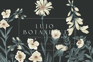 Lujo Botanique Prints & Motifs