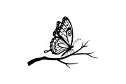 Butterfly Branch SVG Bundle, an Illustration by Creativeshirt (Thumbnail 11 of 31)