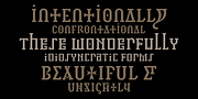 Infidel, a Serif Font by Barnbrook Fonts (Thumbnail 3 of 5)