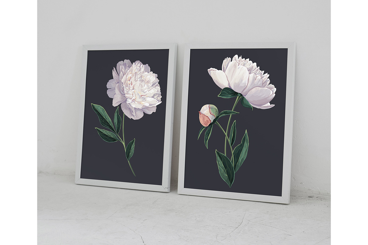 White Realistic Peonies Set, a Decorative Illustration by MarynaPetrovska (Photo 16 of 16)