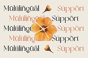Valooron - Business Font, a Serif Font by RockboyStd (Thumbnail 9 of 12)