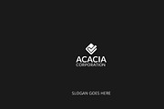 2V Business Card, a Business Card Template by DesignGhar (Thumbnail 4 of 7)