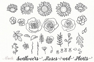 Sunflowers, Roses, Rosehip, Plants