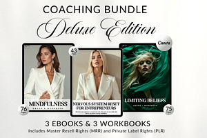 Coaching Bundle EBooks mrr plr, a Brochure Template by CopertiniStudio