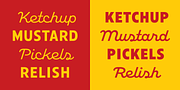 American Auto, a Sans Serif Font by Miller Type Foundry (Thumbnail 10 of 20)