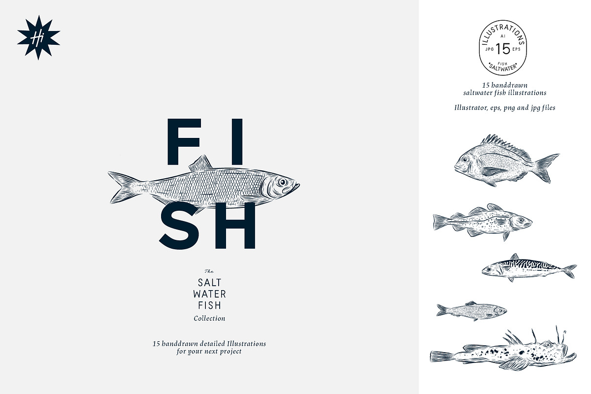 The Saltwater Fish Collection, an Animal Illustration by dicreate (Photo 1 of 6)