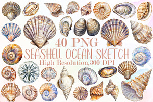 Seashell Clipart Ocean Sketch Set, an Illustration by Sublimation Artist