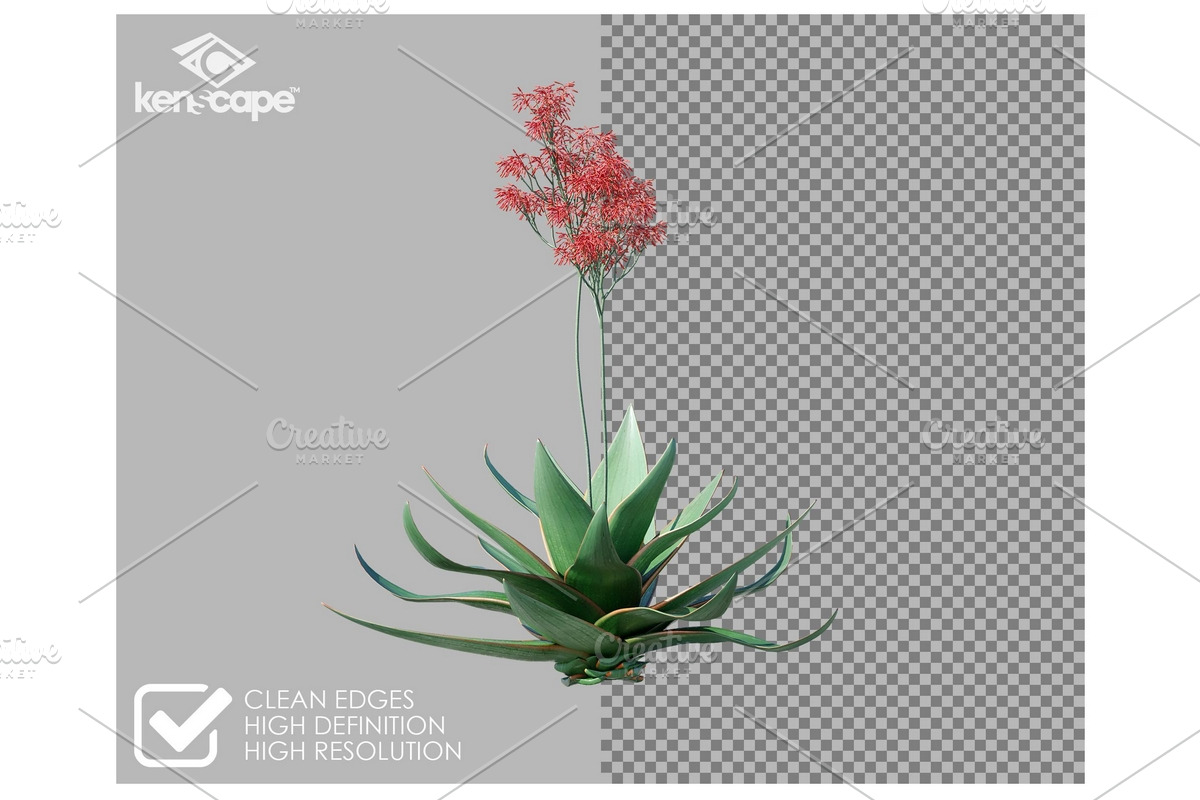 84 Desert Plants Photo Overlays, a Nature Photo by KenScape (Photo 2 of 3)