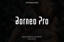 Borneo Pro - Modern Sans Serif