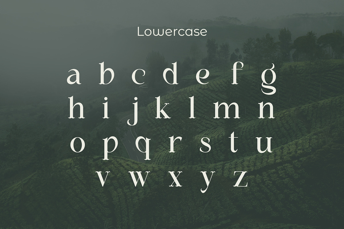 Megarow, a Serif Font by Rishsketch (Photo 9 of 13)