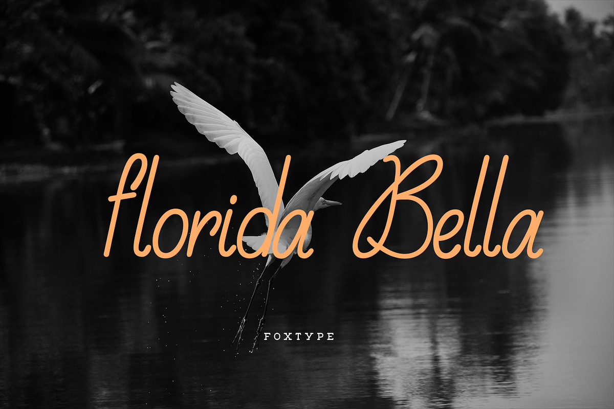 Georgino Handwritten Typeface, a Script Font by Foxtype (Photo 3 of 8)