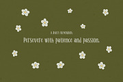 Nieves - neat vintage serif font, a Serif Font by Anastasia Cuza (Thumbnail 8 of 9)
