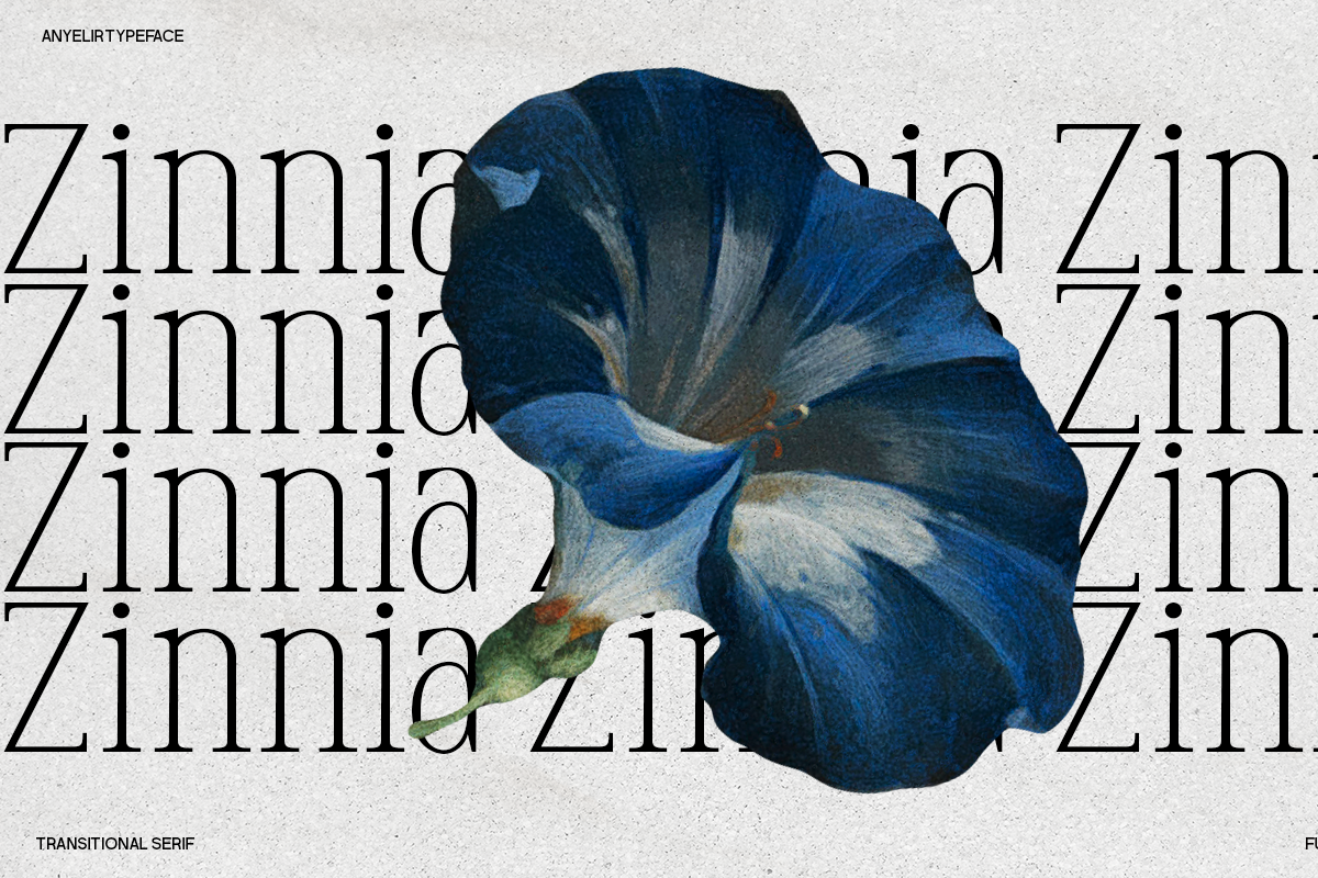 Anyelir Display - Condensed Serif, a Serif Font by Magnolitype (Photo 17 of 21)