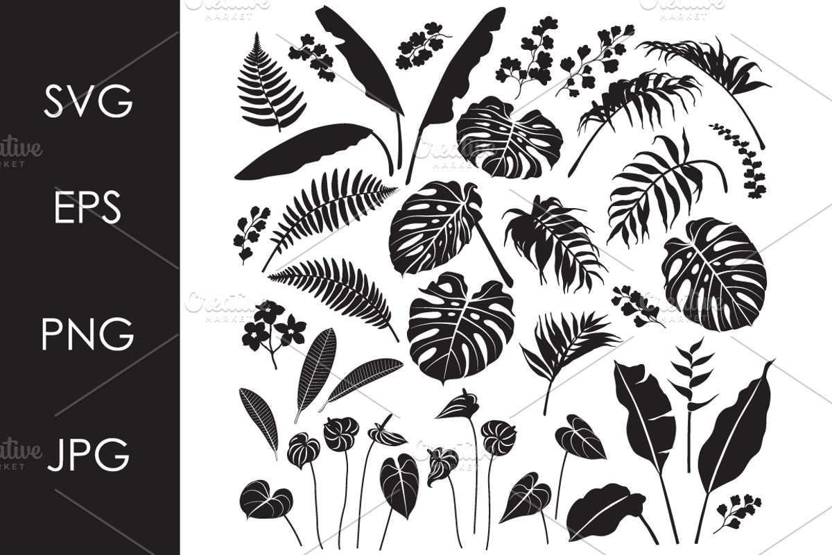 Tropical Leaves and Flowers, a Decorative Illustration by Valentyna Smordova (Photo 1 of 2)