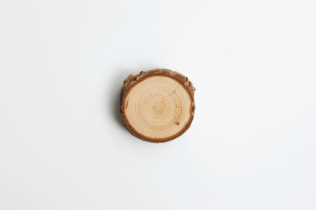 Rustic Wood Slice Vector Clipart Set, an Illustration by BIPLOB EXPERT (Photo 12 of 13)