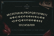Prizefighter Display, a Sans Serif Font by Vintage Type Company (Thumbnail 3 of 8)