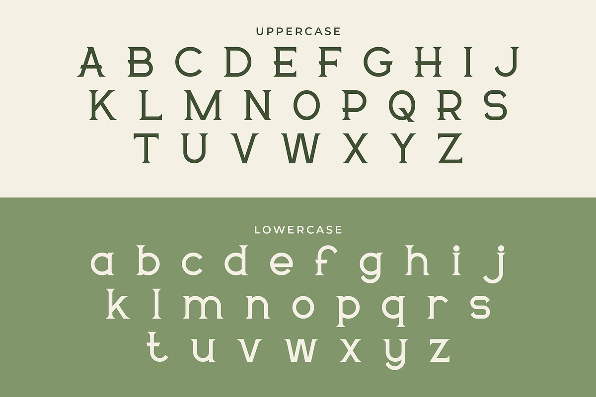 Delavine - Modern Serif Font, a Serif Font by Mily Studio (Photo 5 of 15)