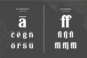 Malaya - A Classic Serif Font, a Serif Font by Wilsonkjc (Thumbnail 11 of 13)