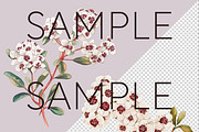 Fragonia Australian Floral Clipart, a Decorative Illustration by Pawcasso's Portraits (Thumbnail 4 of 6)