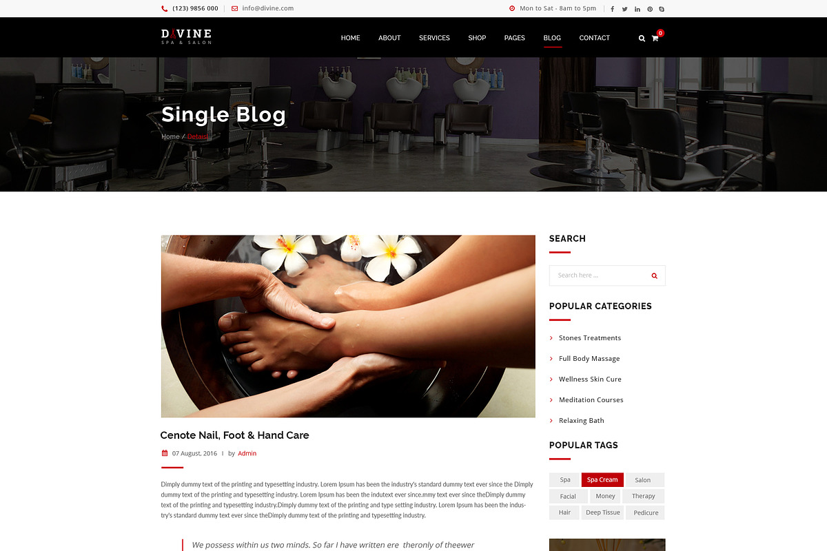 Divine - Photoshop Template, a Websites & App Template by DigitalCenturySF (Photo 8 of 13)