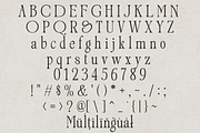 Garesin - Serif Font, a Serif Font by NDNL Studio (Thumbnail 6 of 8)