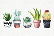 Cactus clipart with pots, a Decorative Illustration by Colibri Watercolor (Thumbnail 3 of 5)