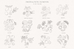 Fruits & Flowers. Nuts & Berries.