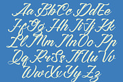 Clesha Halgestine Modern Calligraphy, a Script Font by Letterena Studios Script (Thumbnail 15 of 20)