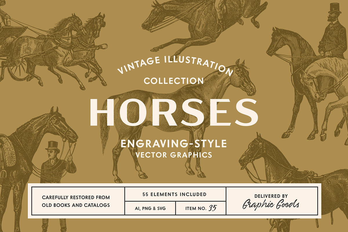 Horses - Vintage Illustration Set, an Illustration by Graphic Goods (Photo 1 of 12)